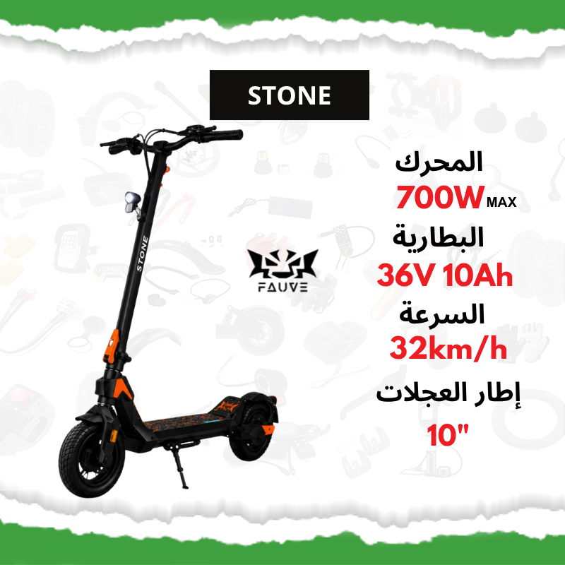STONE fAUVE