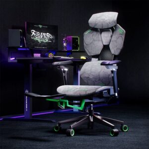 Fauteuil Ergonomique