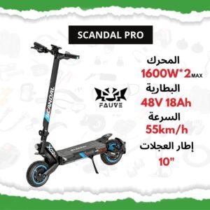Trottinette électrique Scandal Pro